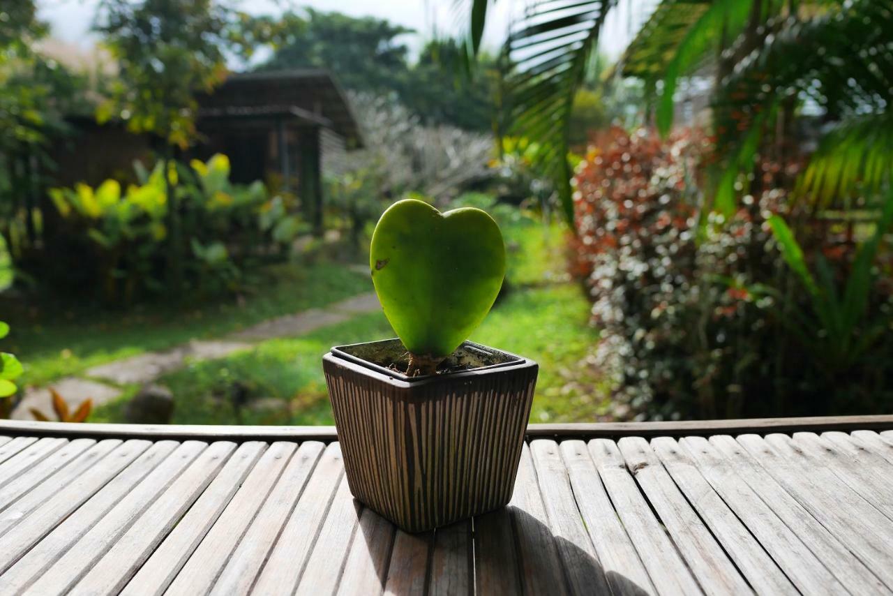 Love Pai Home Eksteriør bilde